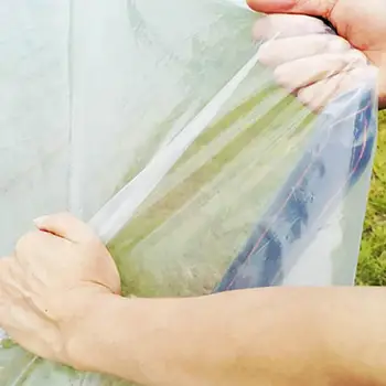 Прозрачная теплица Пластиковая Непромокаемая крышка Садовые суккуленты Защитная пленка Укрытие от дождя Брезентовая пленка для растений